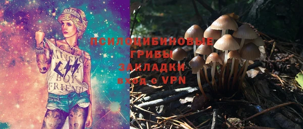 apvp Белокуриха