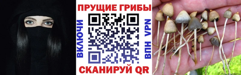 Псилоцибиновые грибы Magic Shrooms Волосово