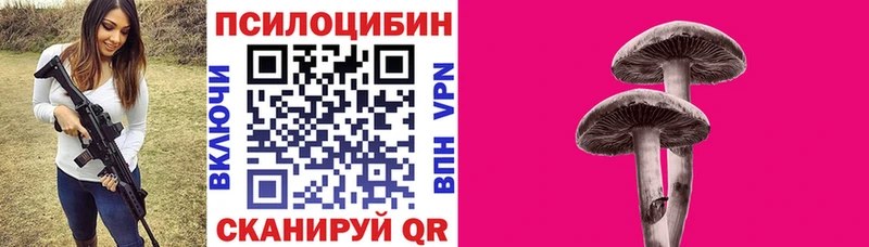 Псилоцибиновые грибы Psilocybe  Волосово 